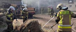 Na zdjęciu widać jak strażacy rozgarniają widłami nadpalone siano, które wcześniej zostało wyciągnięte z budynku gospodarczego. W tle widać ładowarkę oraz strażaków