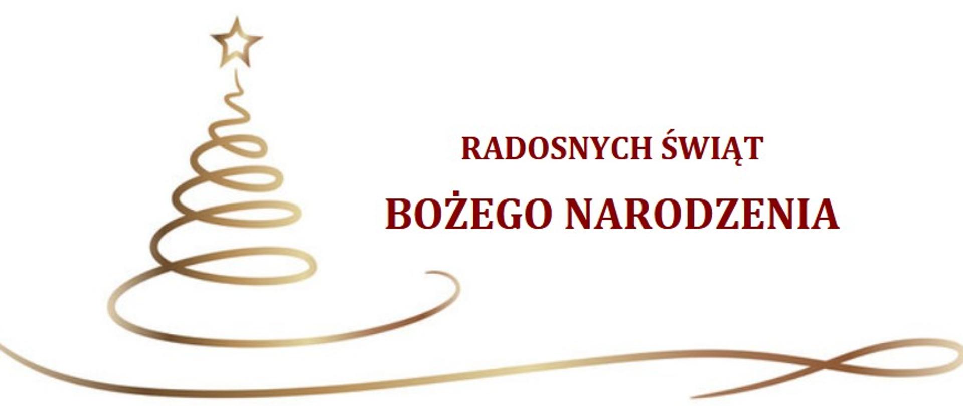 Infografika choinki oraz napis radosnych świąt Bożego Narodzenia