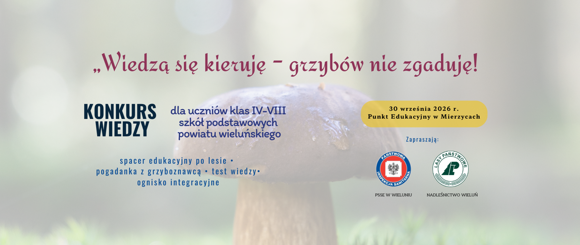 grafika_na_stronę_grzyby