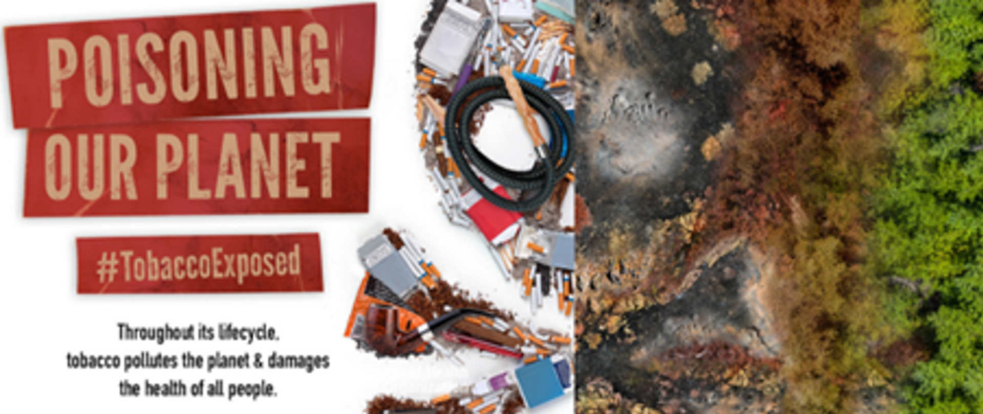 Po prawej stronie plakatu widnieje widok ziemi częściowo zniszczonej przez papierosy. Z lewej strony zamieszczono napis w języku angielskim "POISONING OUR OLANET #tOBACCOeXPOSED.'