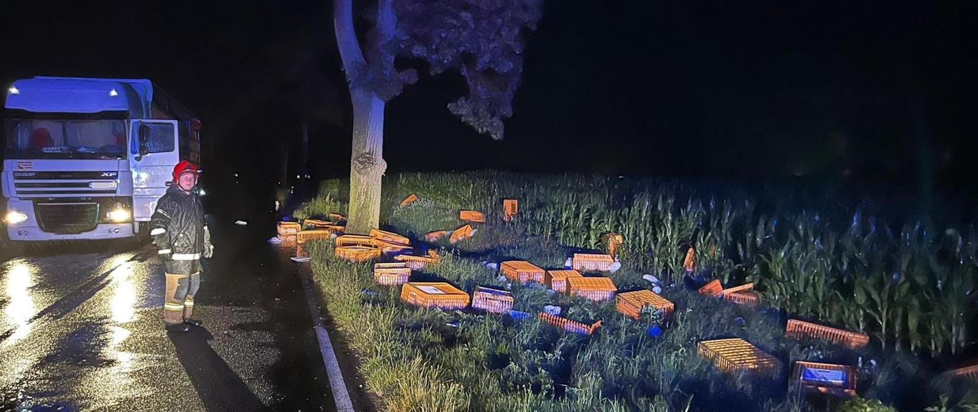 Na zdjęciu widać strażaka, rozrzucone klatki na poboczu drogi oraz tira w oddali. 