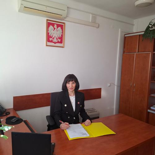 Naczelnik Urzędu Skarbowego w Krośnie