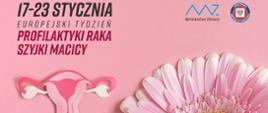 profilaktyka raka szyjki macicy - format panorama