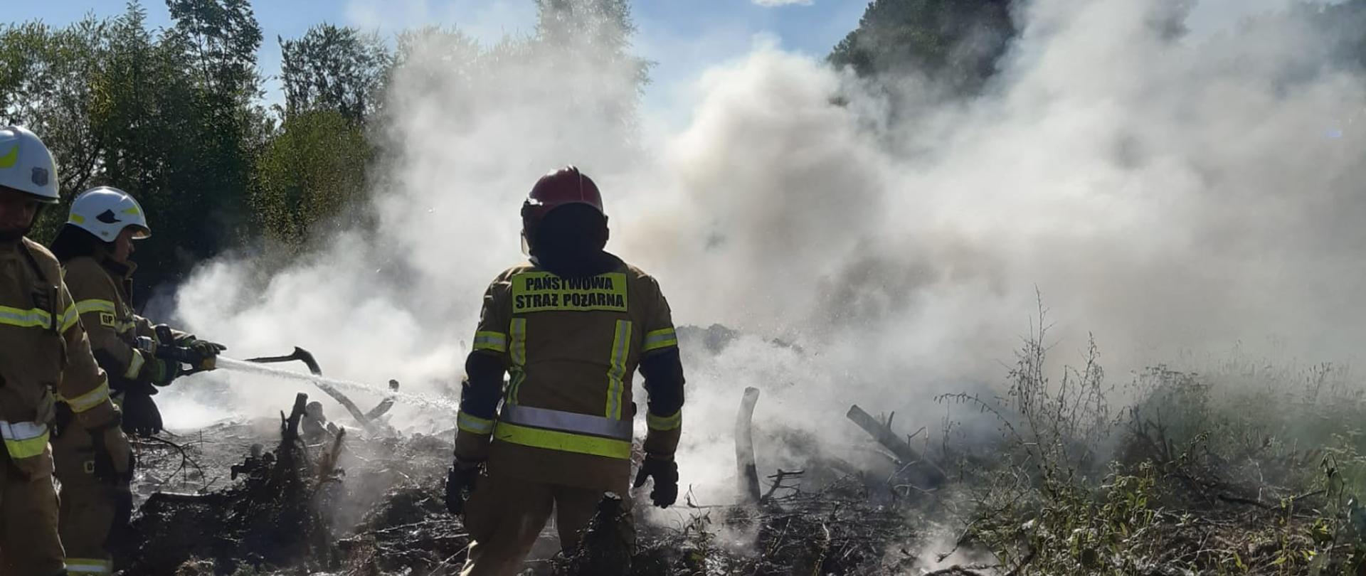 Na zdjęciu widać strażaków 