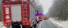 Widok służb wypadek Zielona Chojna