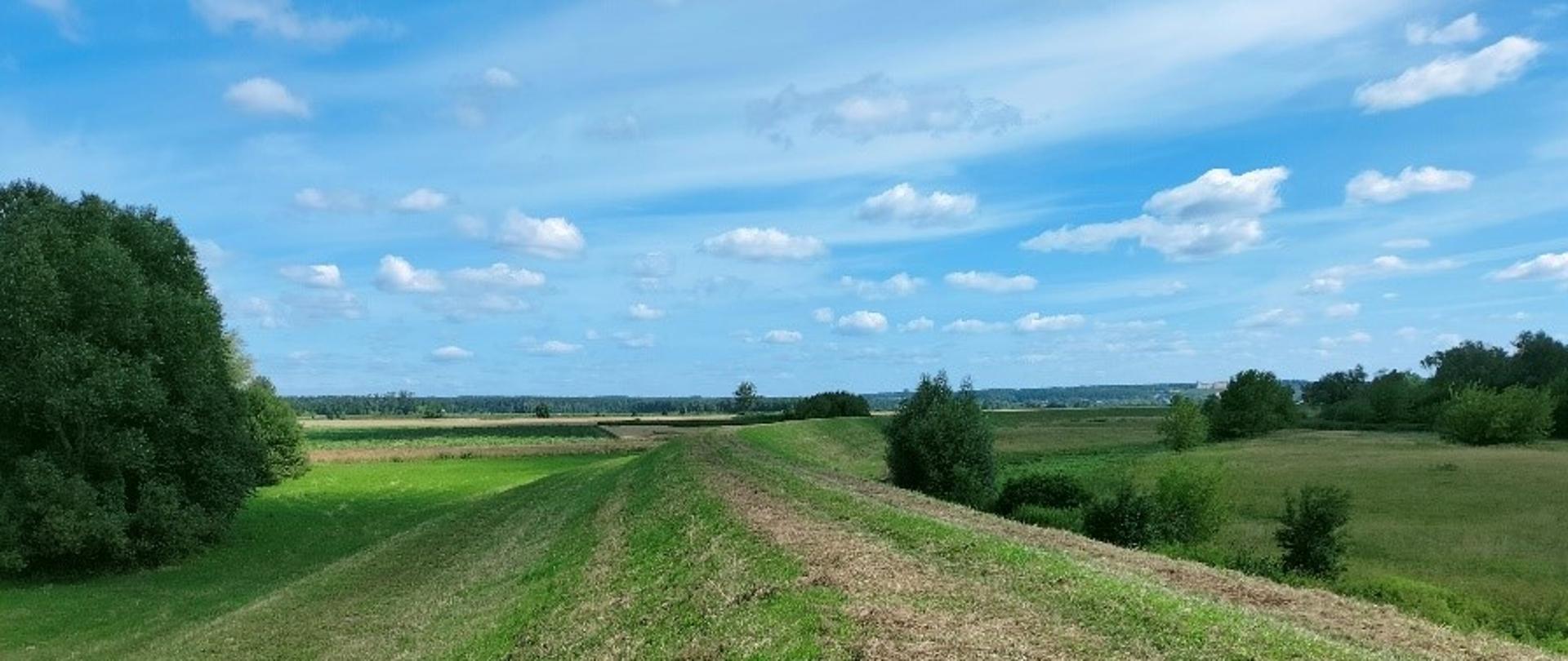 Wał przeciwpowodziowy w Janowcu