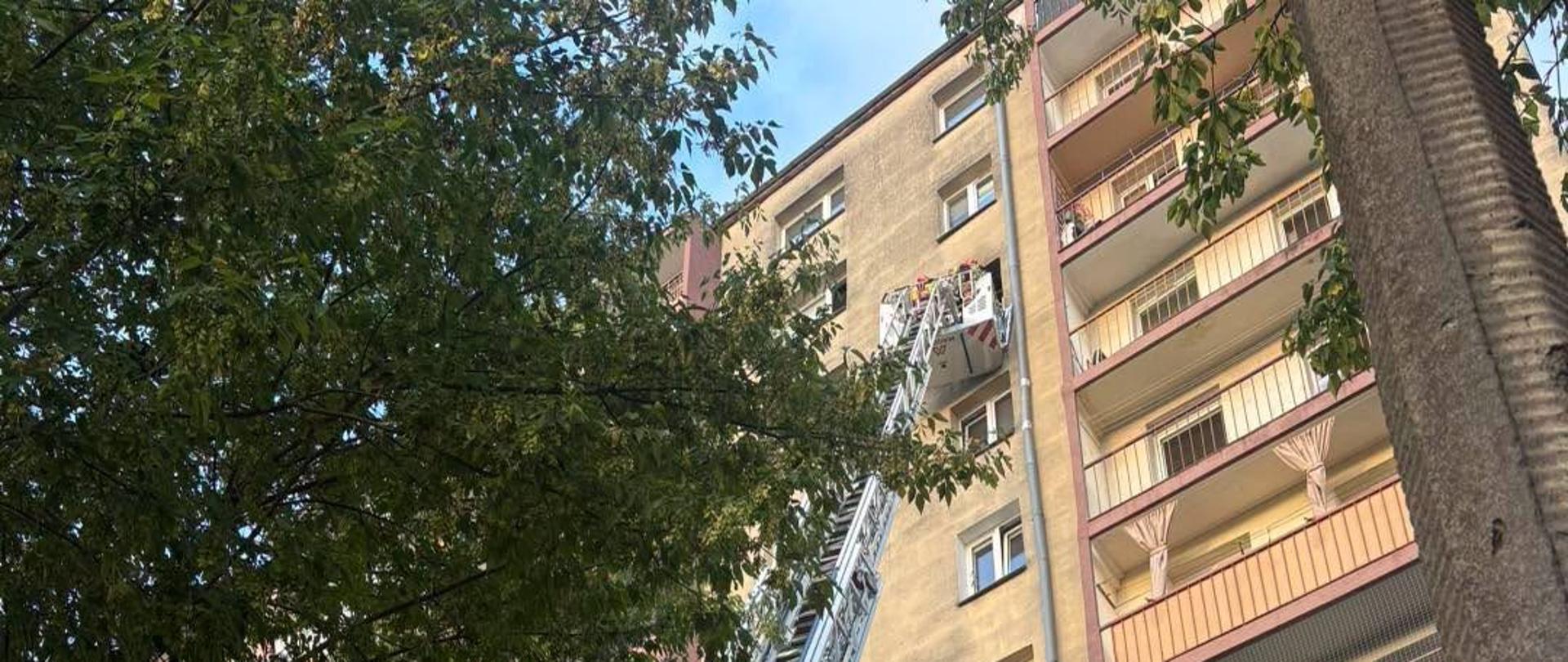 Drabina mechaniczna w trakcie działań ratowniczo-gaśniczych 