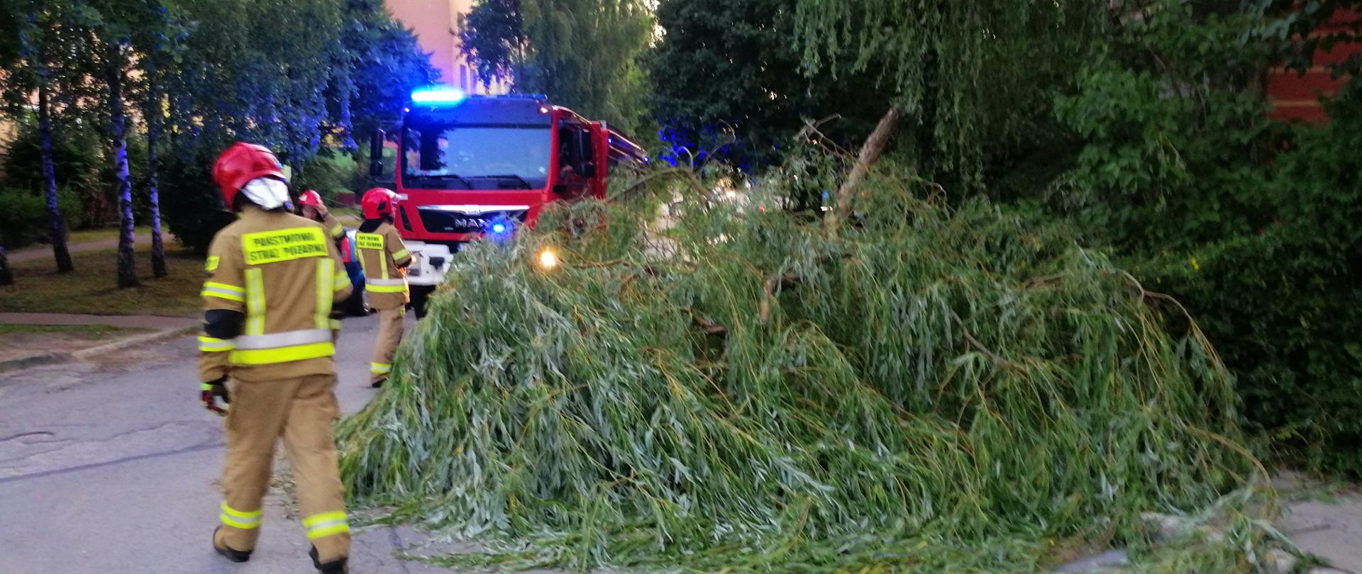 Zdjęcie przedstawia nadłamane drzewo oraz gałąź, która tarasuje ulicę. W tle widać strażaka oraz samochód strażacki
