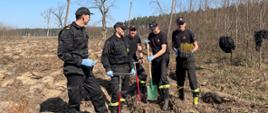 Strażacy JRG Polkowice sadzą las