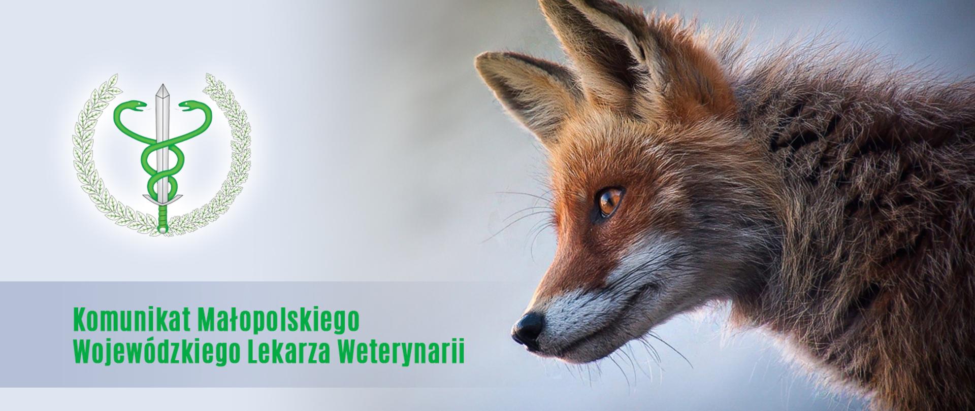 Komunikat Małopolskiego Wojewódzkiego Lekarza Weterynari