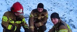 Trzej strażacy w umundurowaniu bojowym opiekują się dwoma małymi sarnami na łące. Za mini w oddali mały las i domy mieszkalne. Wokoło cienki śnieg. 