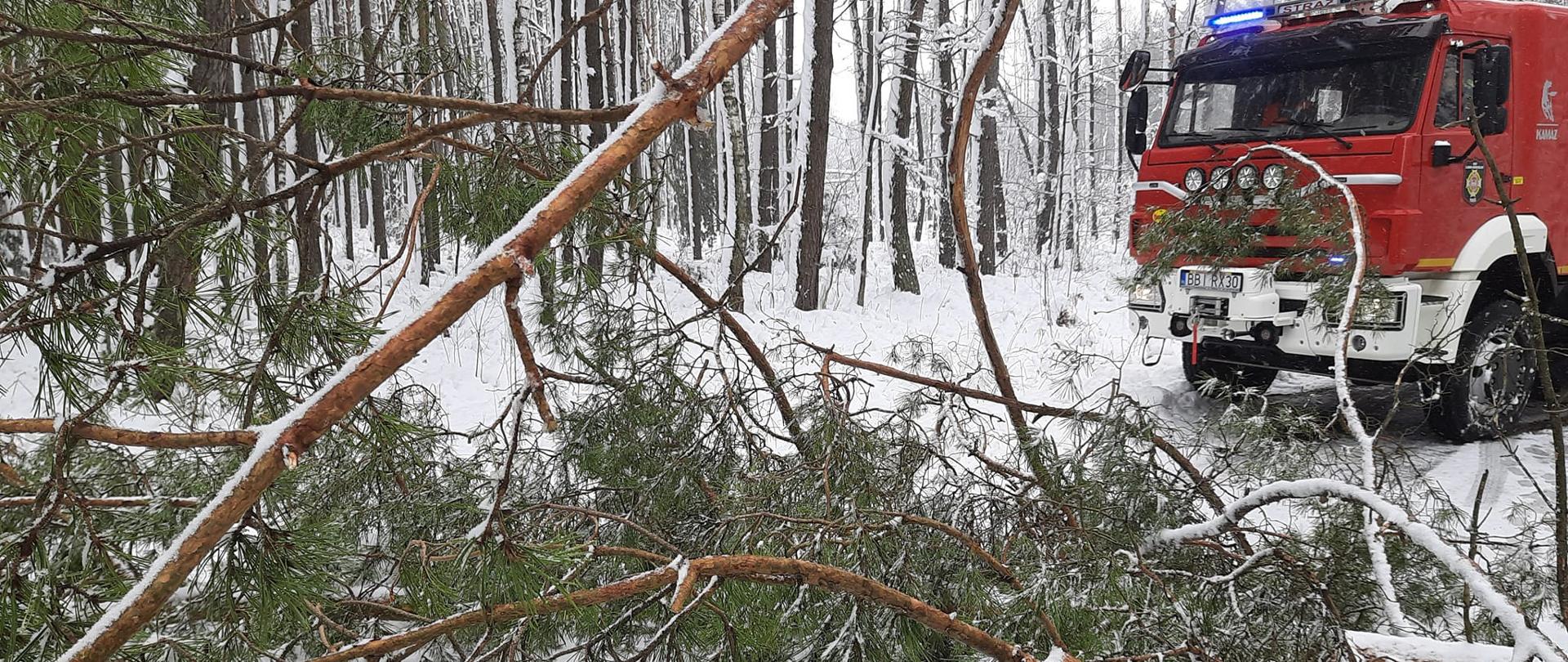 Leżące na jezdni połamane drzewo. W tle samochód strażacki.