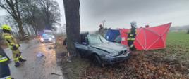 Zdjęcie przedstawia niebieski samochód typu kombi marki BMW rozbity bokiem o drzewo. Obok wraku znajdują się strażacy, którzy trzymają parawan. Za wrakiem znajduje się pogotowie ratunkowe.