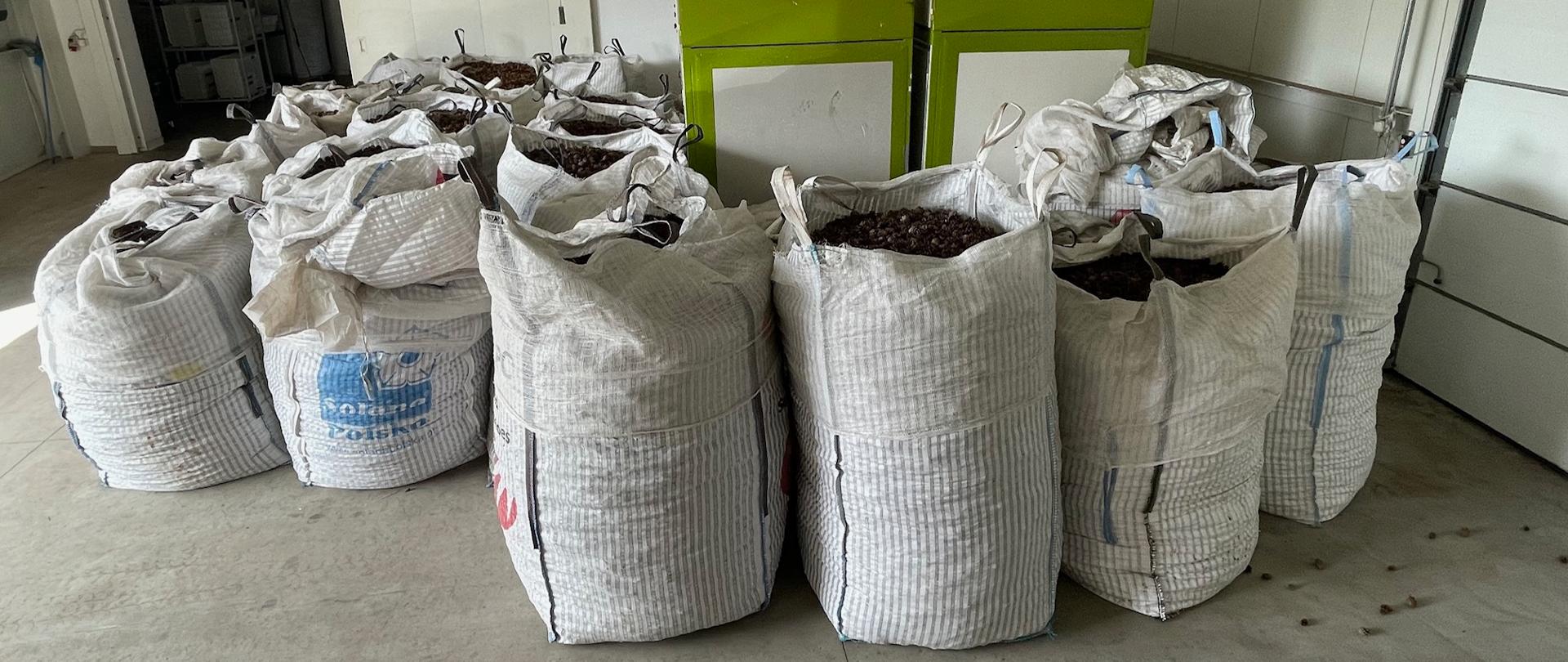 Magazyn wstępnego przechowywania nasion