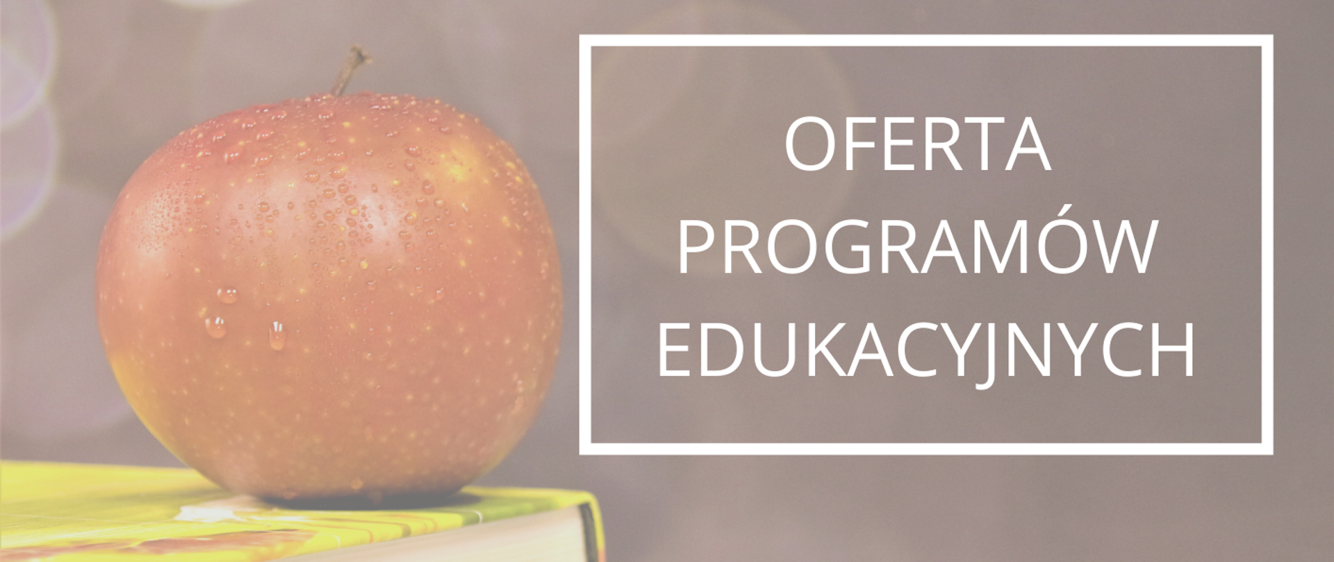 biały napis oferta programów edukacyjnych w tle jabłko na książce