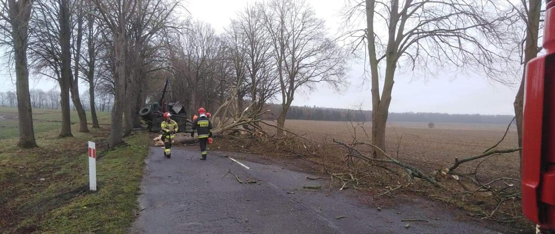 Na zdjęciu widoczni strażacy ubrani w ubranie specjalne, wokół nich fragmenty połamanego drzewa. W tle uszkodzony samochód ciężarowy.