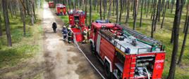 Ćwiczenia strażaków w Nadleśnictwie Grodziec [25.06.2024]