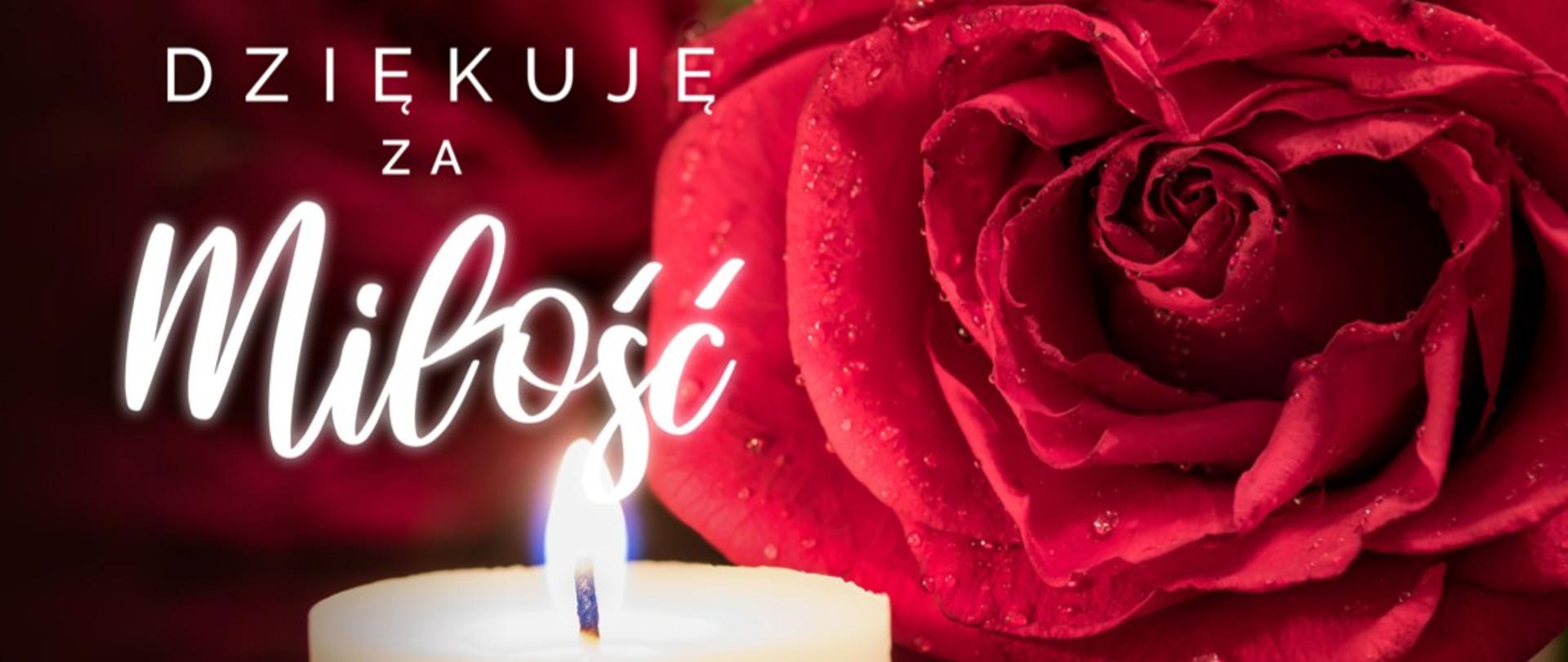 Zdjęcie plakatu - po prawej stronie wielka ciemnorózowa róża z kroplami rosy, po prawej biała płonąca świeca, nad nią napis "dziękuję za miłość"