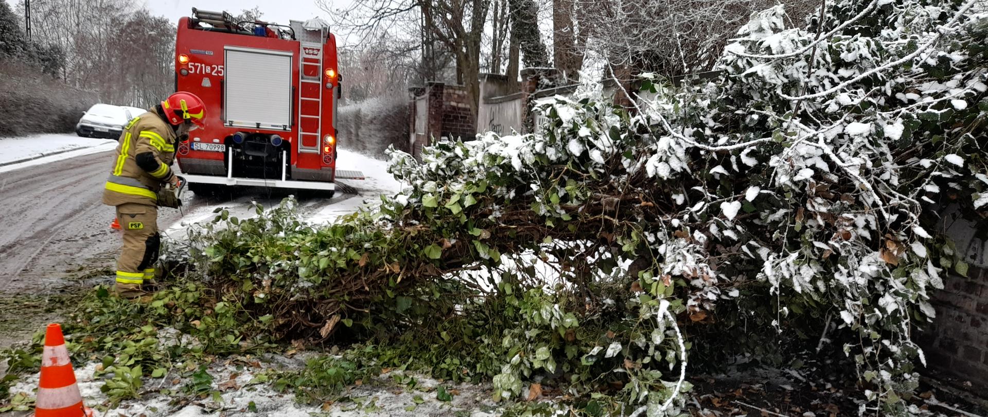 Na zdjęciu znajduje się strażak z pilarką spalinową w trakcie usuwania powalonego drzewa, w tle znajduje się ciężki samochód gaśniczy.