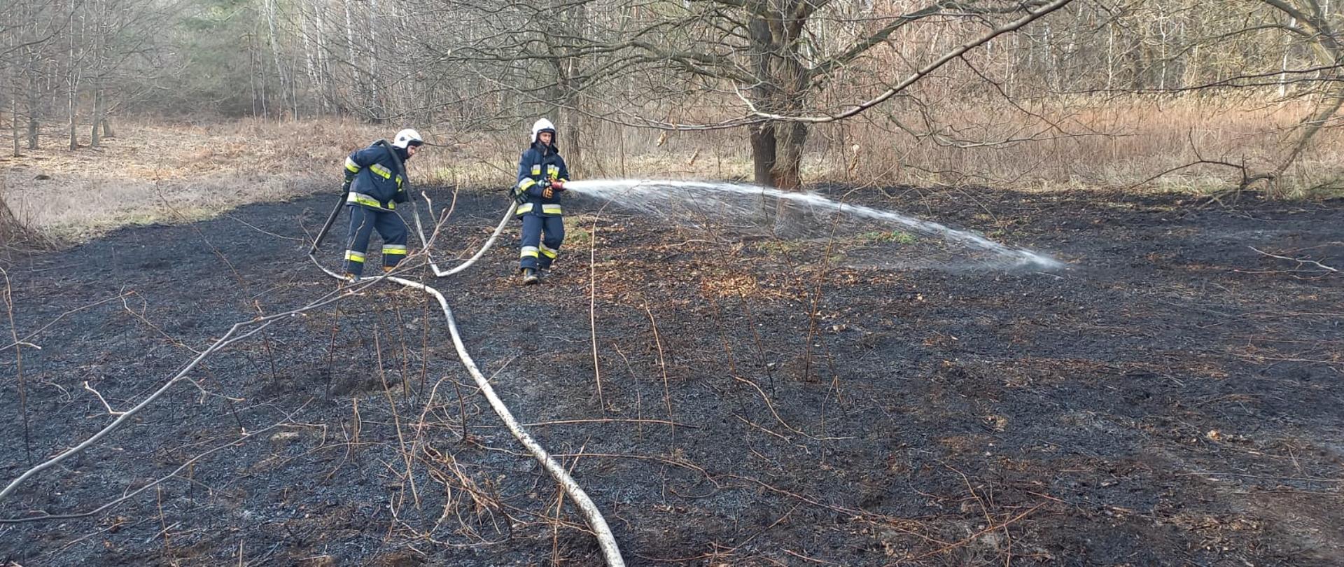 Strażacy gaszą pożar suchej trawy