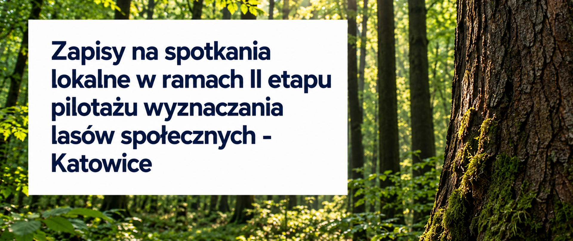katowicezapislowfs