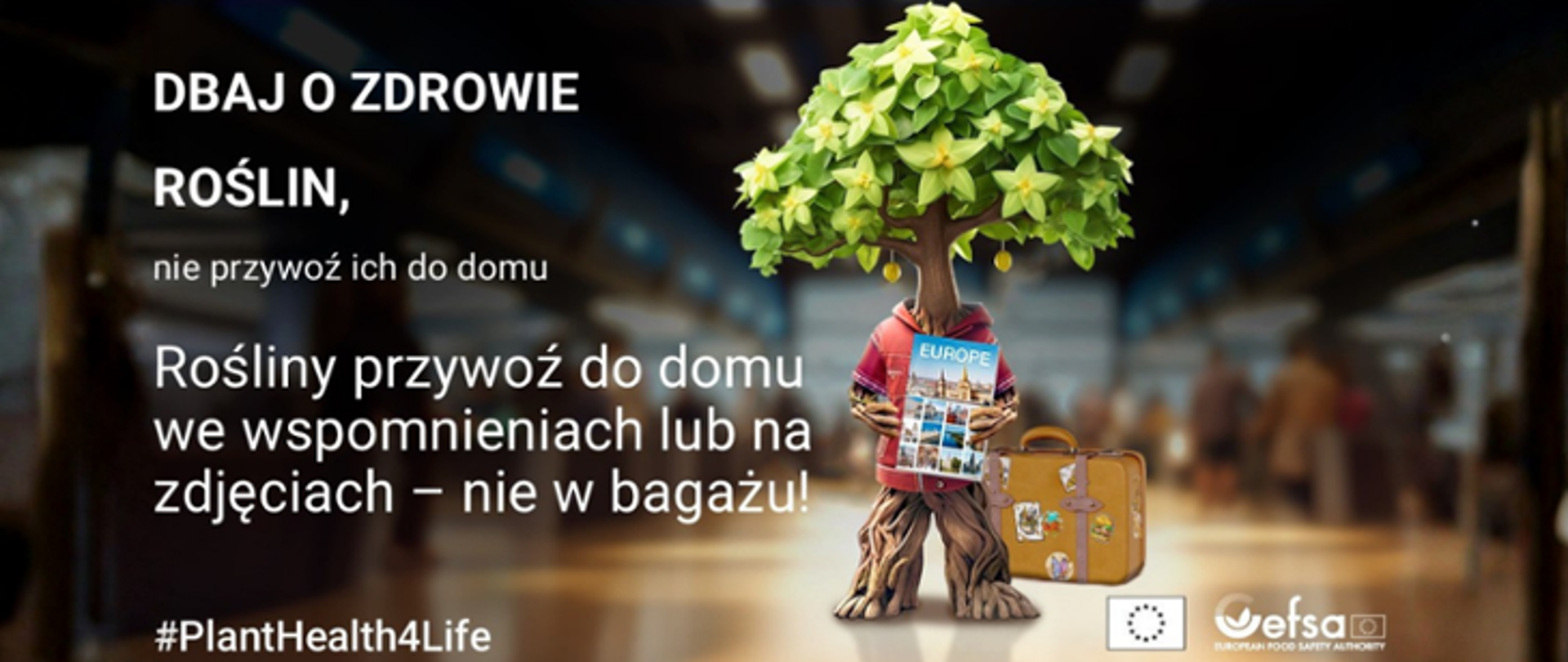 Plakat z tekstem: dbaj o zdrowie roślin, nie przywoź ich do domu. Rośliny przywoź do domu we wspomnieniach lub na zdjęciach - nie w bagażu