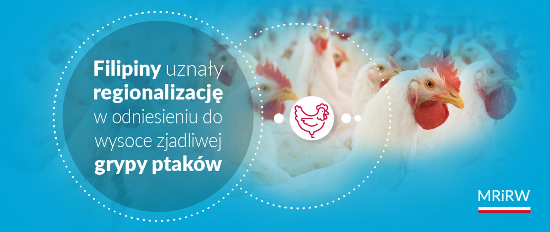 Filipiny uznały regionalizację w odniesieniu do HPAI na poziomie powiatów