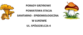 porady grzybowe psse lukow