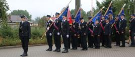 Zdjęcie przedstawia poczty sztandarowe Ochotniczych Straży Pożarnych, na dalszym planie tereny zielone