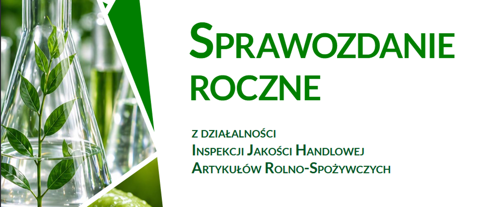 Sprawozdanie 2025