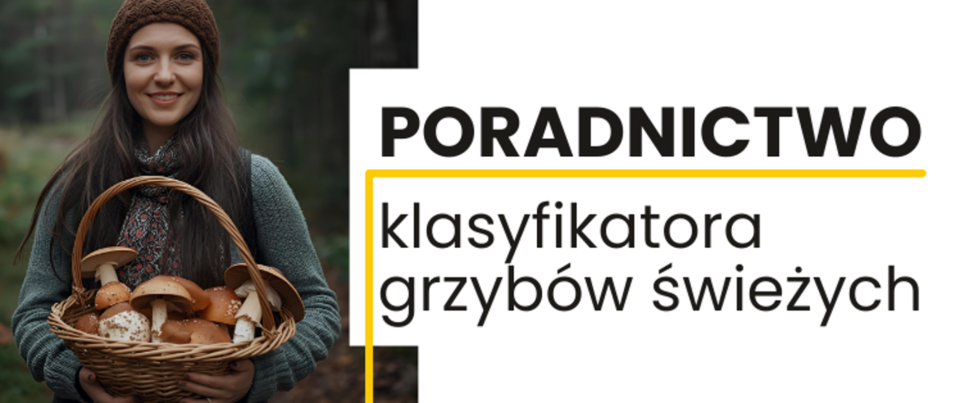 Poradnictwo klasyfikatora grzybów świeżych