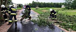 Na zdjęciu widocznych czterech strażaków. Jeden pilarką tnie konar drzewa, pozostałych trzech nosi pocięte kawałki i usuwa poza jezdnię.