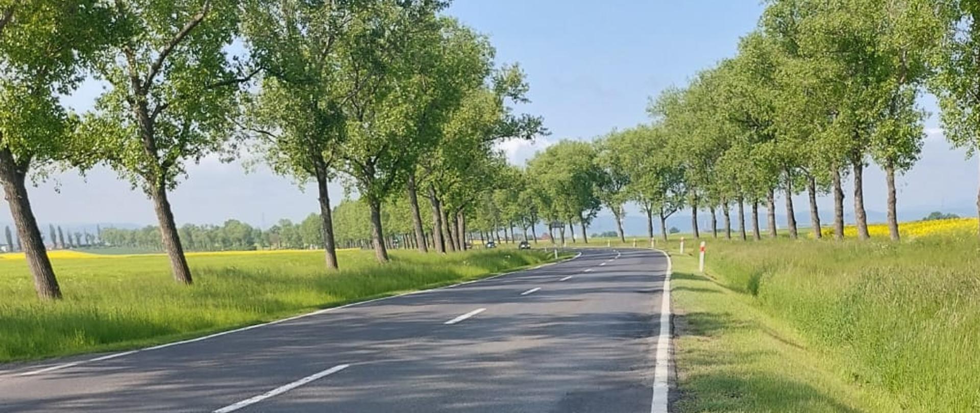 DK35 odc. Pszenno-Marcinowice, maj 2023 r. fot. Błażej Brajer/GDDKiA