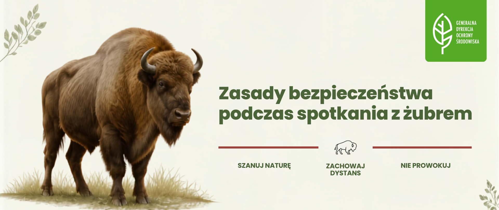 Zdjęcie żubra wraz z napisem Zasady bezpieczeństwa podczas spotkania z żubrem