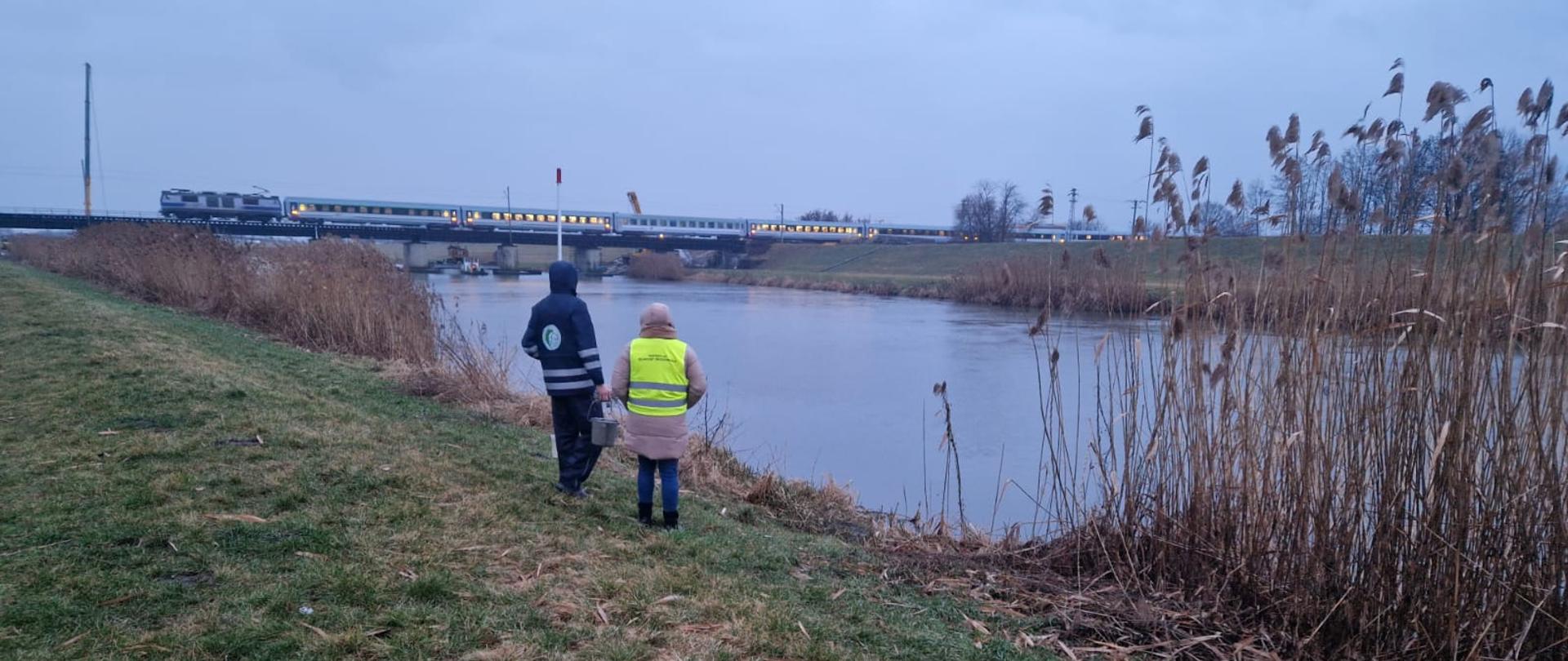 lustracja brzegów Kanału Ulgi 