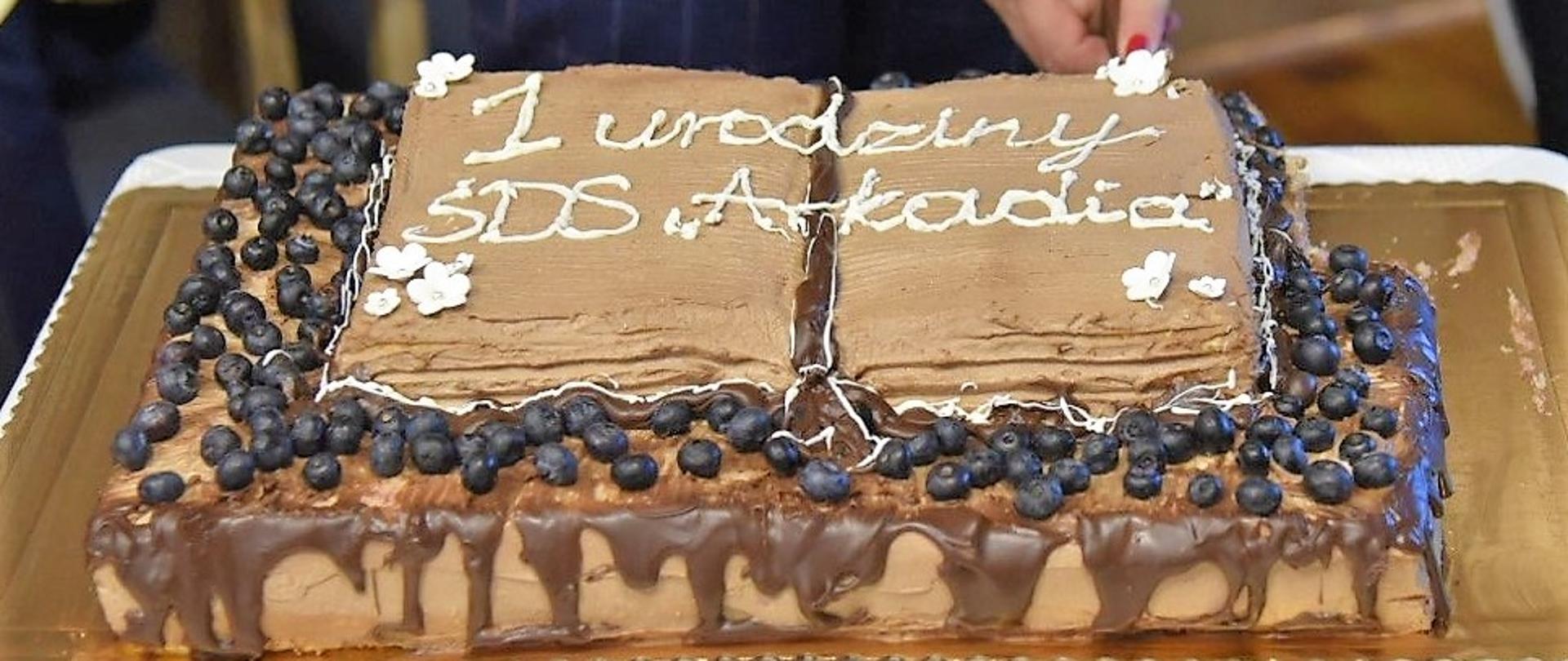 Tort z napisem 1 urodziny ŚDS Arkadia 