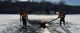 Na zdjęciu strażacy podbierają pozoranta z przerębla z wykorzystaniem odcinka wężowego.
