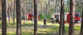 Na zdjęciu strażak rozwijający linię gaśniczą w tle widoczne są samochody strażackie. wszystko w scenerii lasu.