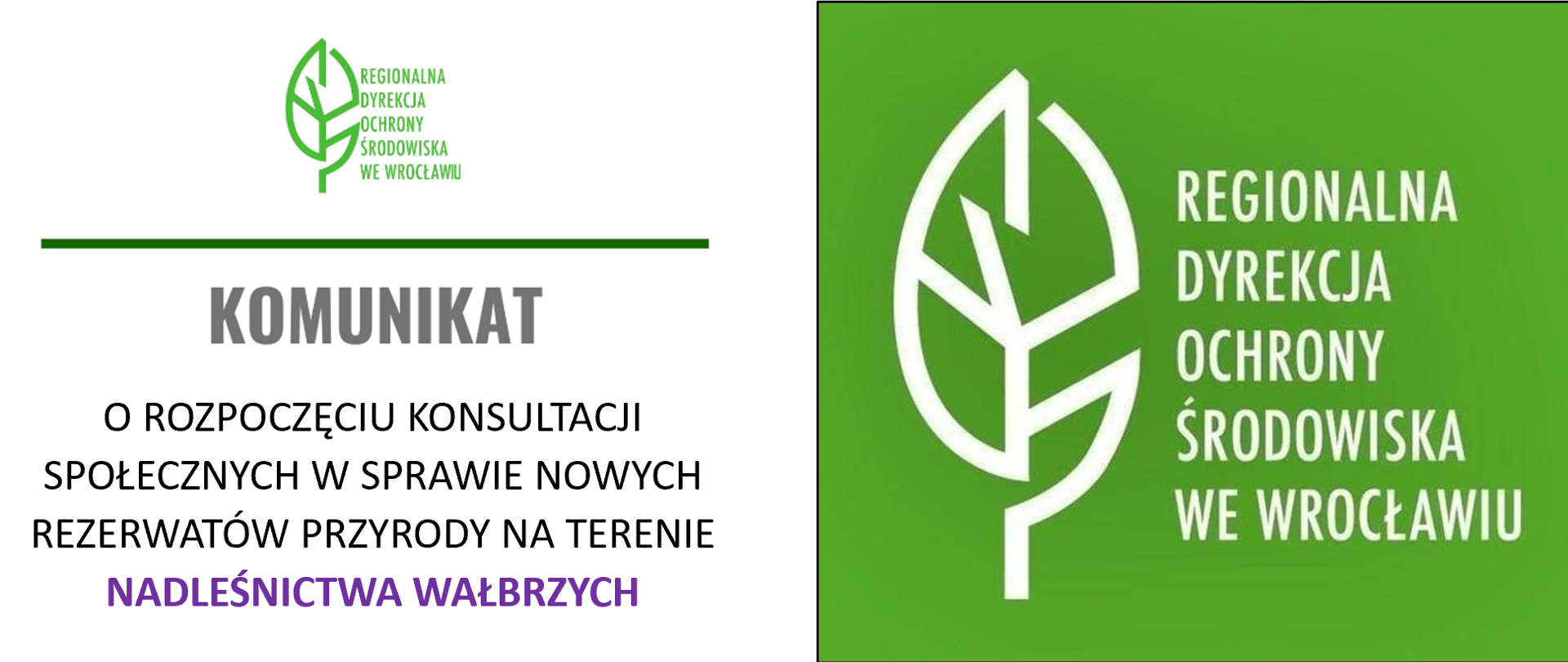 Konsultacje Wałbrzych