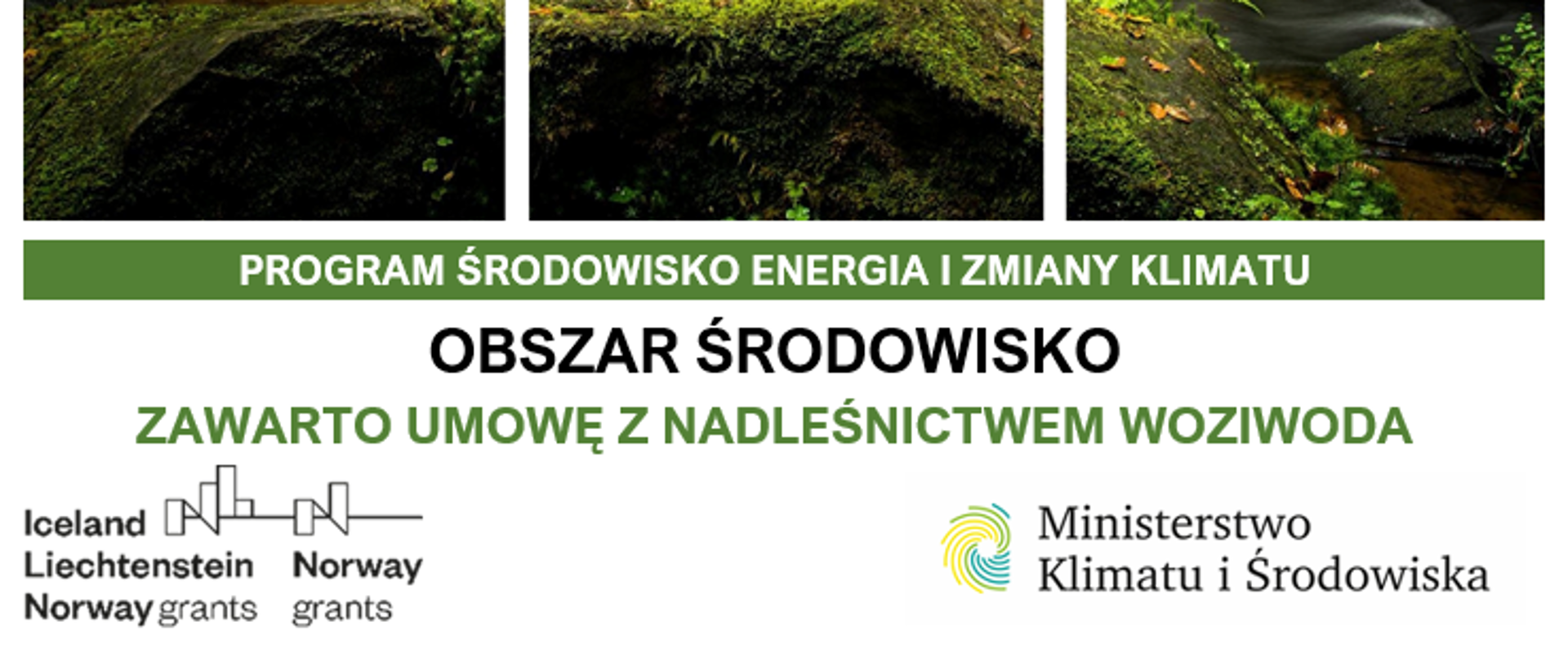 Nadleśnictwo Woziwoda Ochrona cennych ekosystemów Borów Tucholskich 