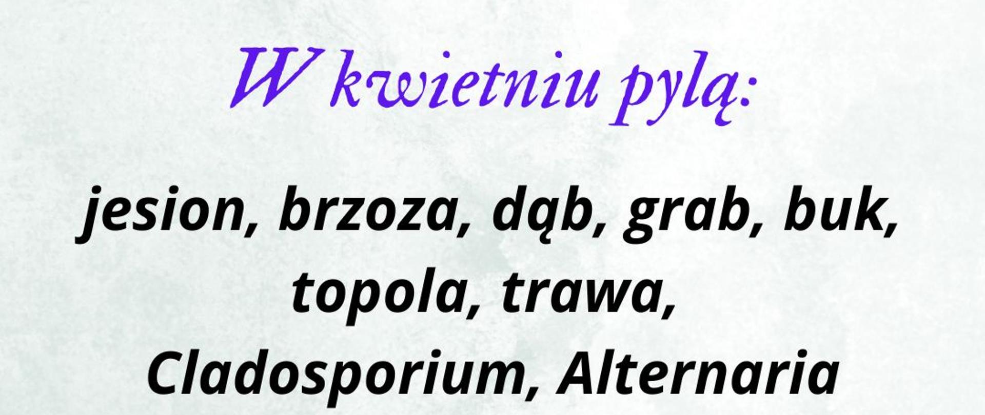 Co pyli w kwietniu, brzoza