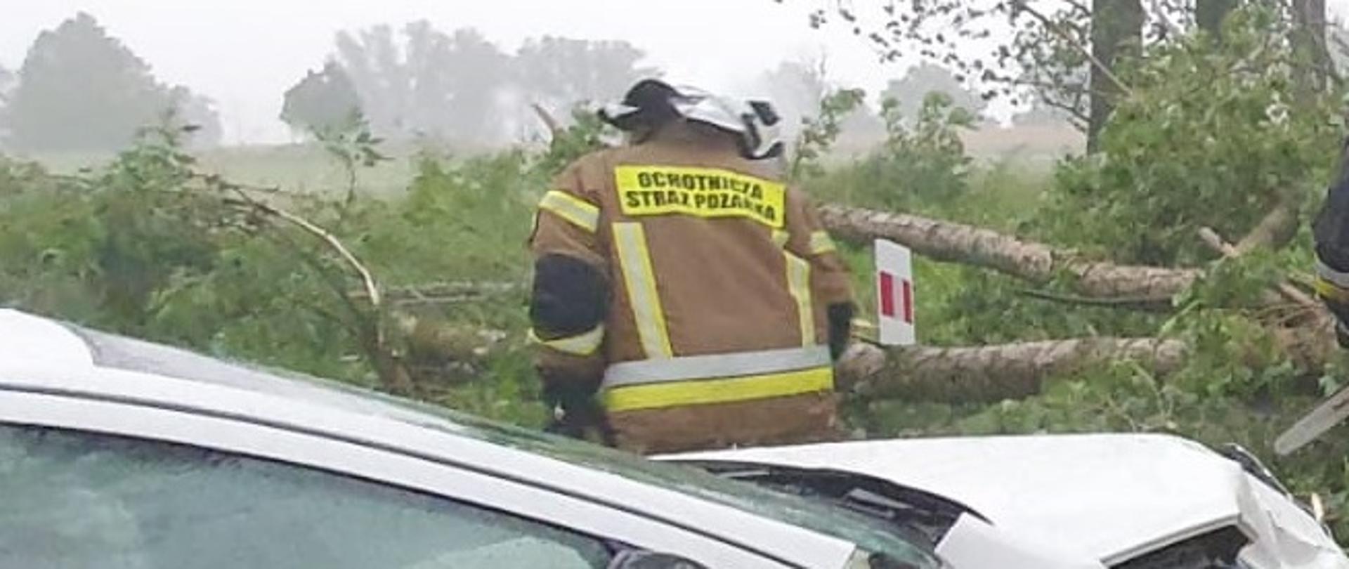 Zdjęcie obrazuje strażaka samochód i powalone drzewo