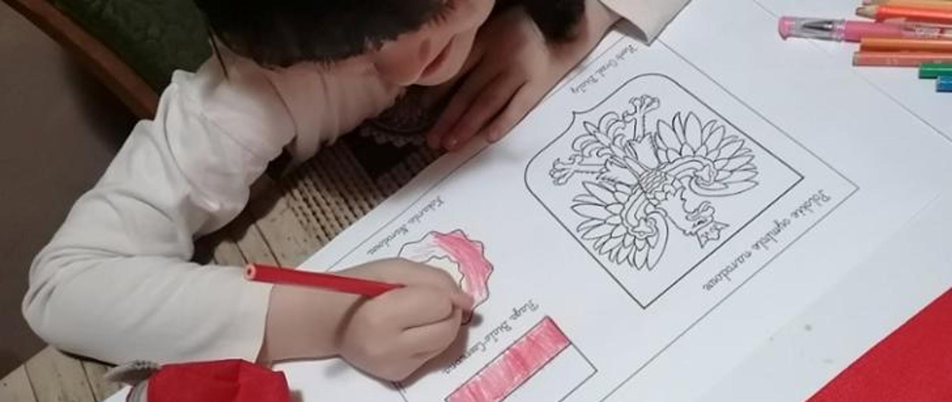 Dan_Poljaka_i_poljske_dijaspore