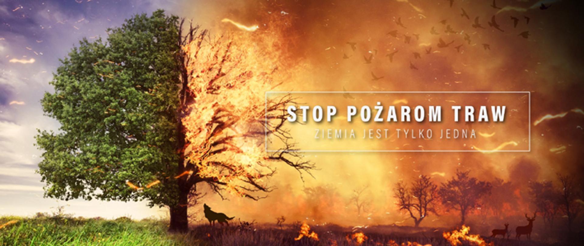 Stop Pożarom Traw - Sezon 2020