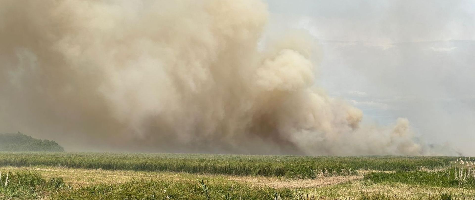 Pożar łąk i nieużytków na obszarze Bieli Suchowolskich