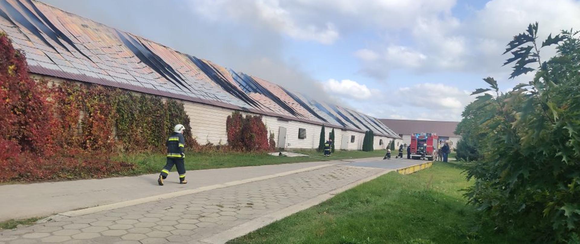 Długi murowany budynek z białej cegły dach poprzepalany. W oddali czerwony strażacki wóz bojowy. W centrum biegnie strażak w ciemnym mundurze bojowym.