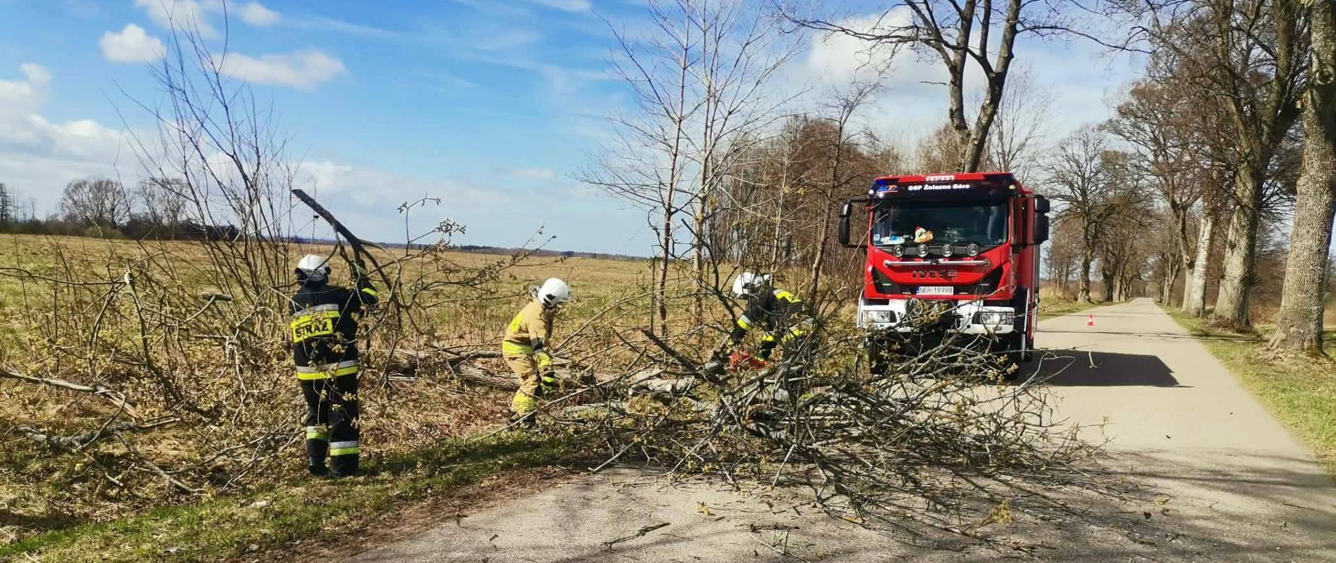 Na zdjęciu trzech strażaków pracujących przy złamanym konarze drzewa. Konar częściowo blokuje pas jezdni. Dalej na drodze duży czerwony samochód strażacki. Słonecznie.