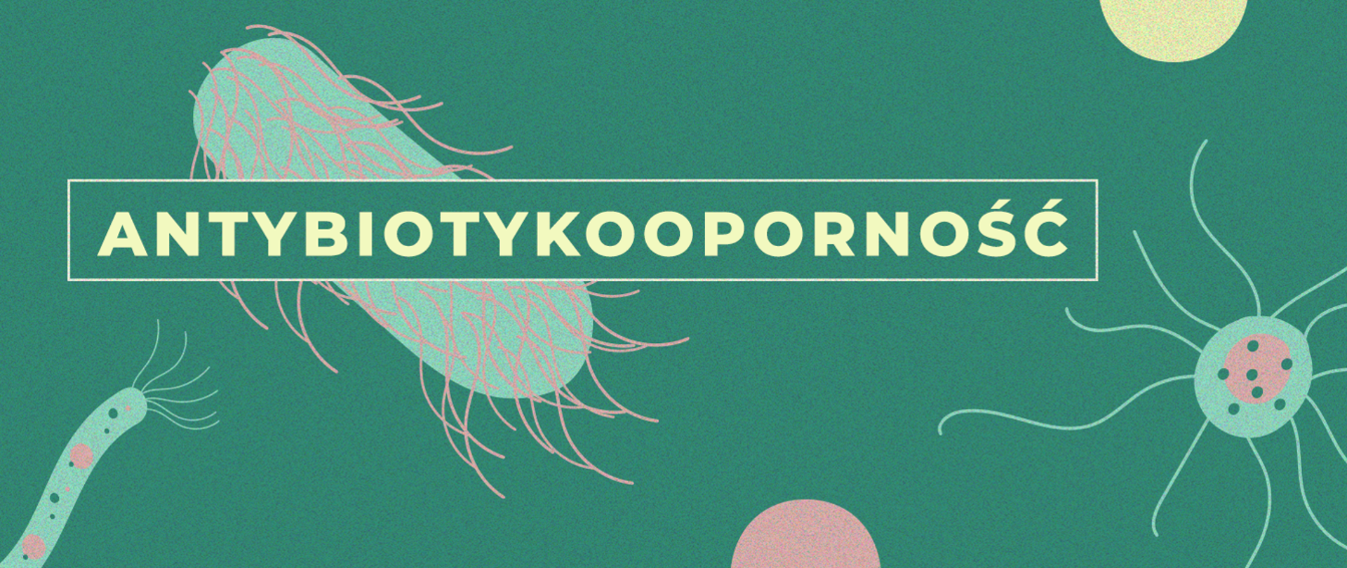 zielony baner z symbolicznymi bakteriami i napisem Antybiotykooporność