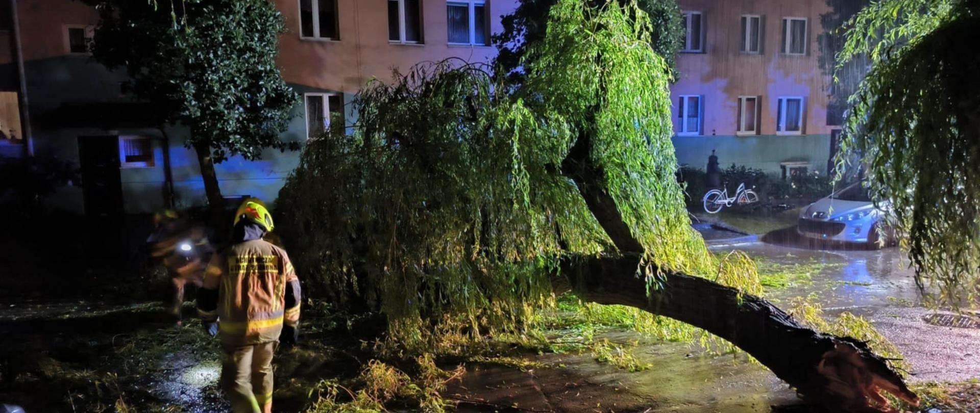 Na zdjęciu złamane drzewo (wierzba) na osiedlowym parkingu. W tle budynek wielorodzinny. Przy złamanym drzewie pracują strażacy.