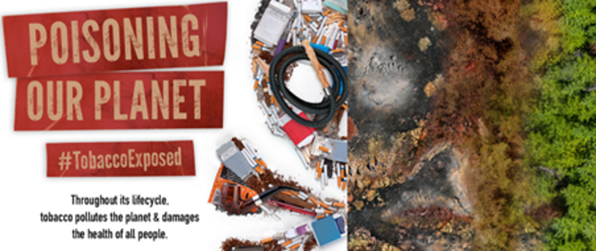 Po prawej stronie plakatu widnieje widok ziemi częściowo zniszczonej przez papierosy. z lewej strony zamieszczono napis w języku angielskim "POISONING OUR OLANET #tOBACCOeXPOSED.